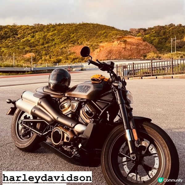 🛵電單車任你選🏍️