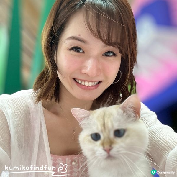 深圳福田超能貓空間🐱  治癒一小時！