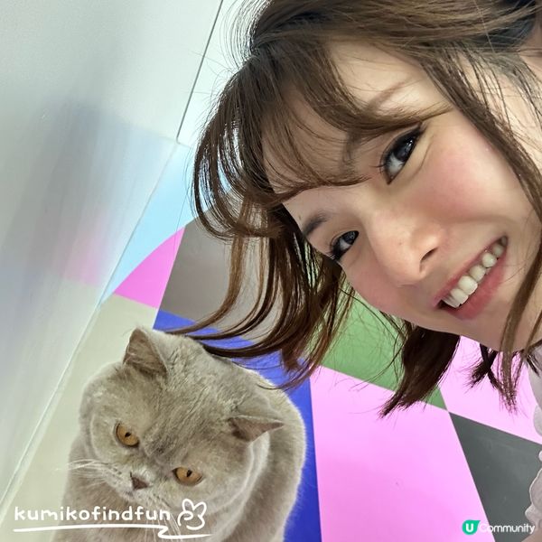 深圳福田超能貓空間🐱  治癒一小時！