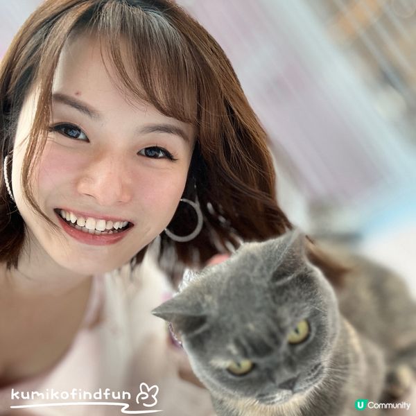 深圳福田超能貓空間🐱  治癒一小時！