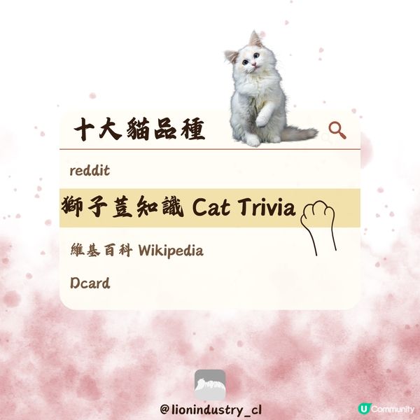 🐈‍⬛🐈‍⬛