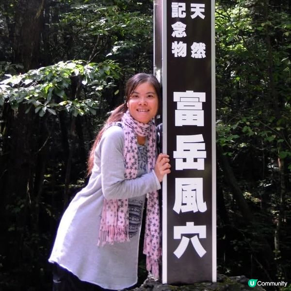 勇闖富岳風穴+鳴澤冰穴