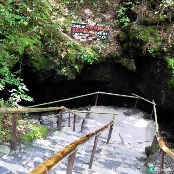 勇闖富岳風穴+鳴澤冰穴