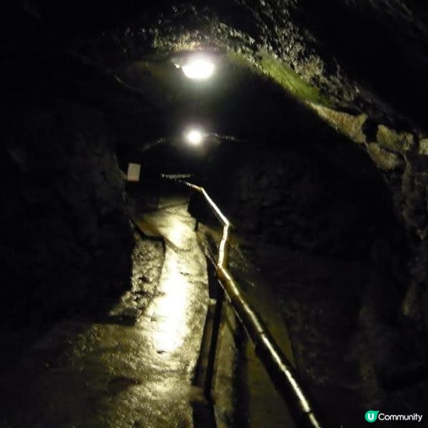 勇闖富岳風穴+鳴澤冰穴