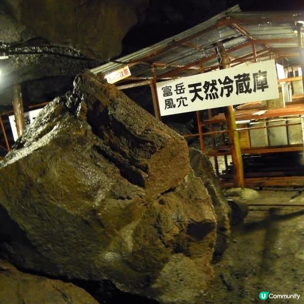 勇闖富岳風穴+鳴澤冰穴