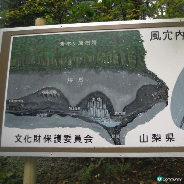 勇闖富岳風穴+鳴澤冰穴