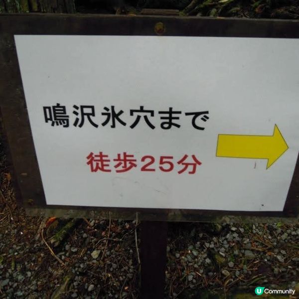 勇闖富岳風穴+鳴澤冰穴