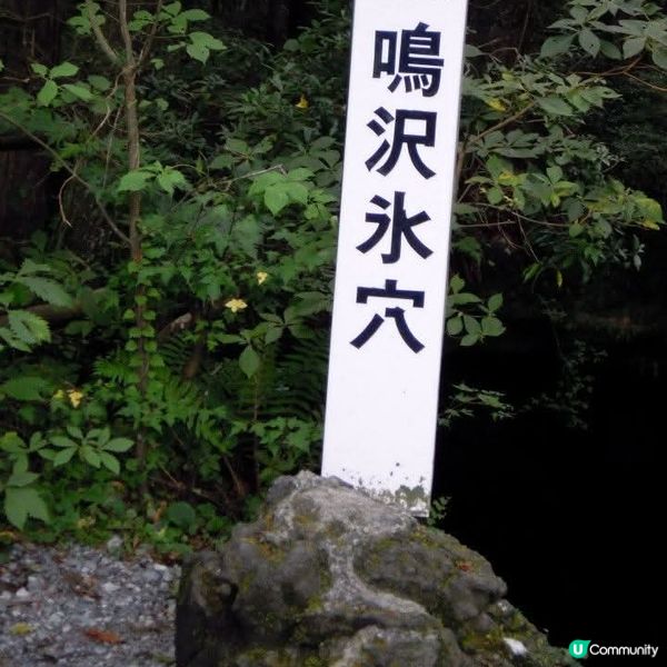 勇闖富岳風穴+鳴澤冰穴