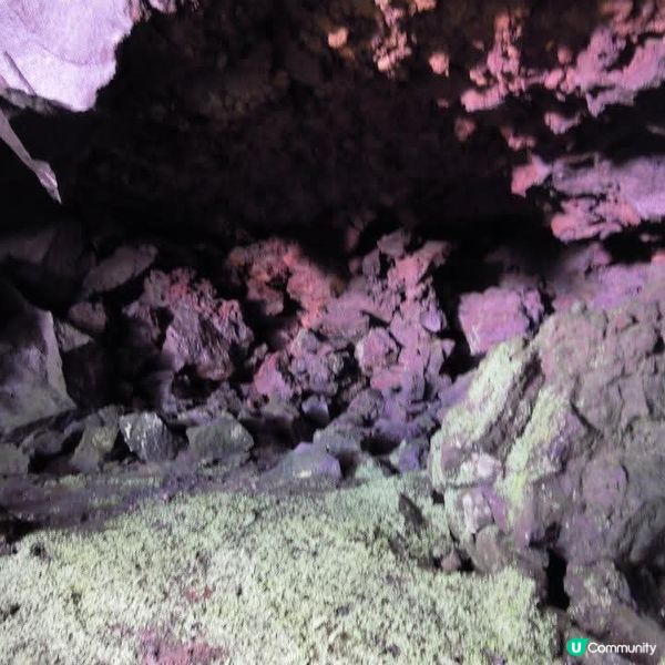 勇闖富岳風穴+鳴澤冰穴