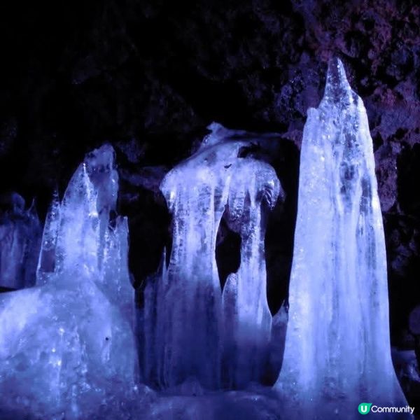 勇闖富岳風穴+鳴澤冰穴