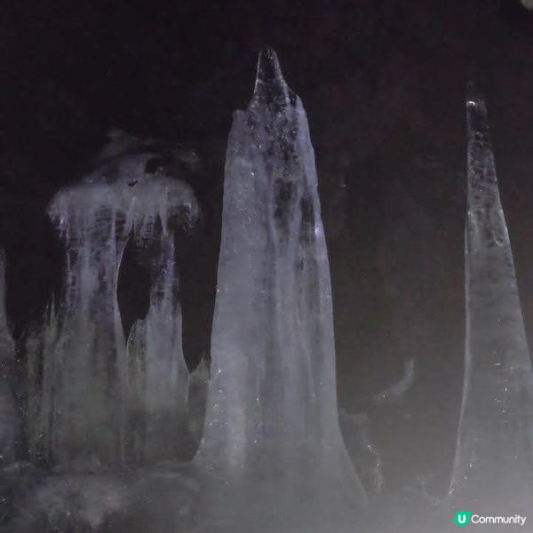 勇闖富岳風穴+鳴澤冰穴