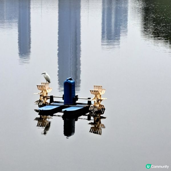 #澳門哪吒廟，拜訪三太子🛖🙏