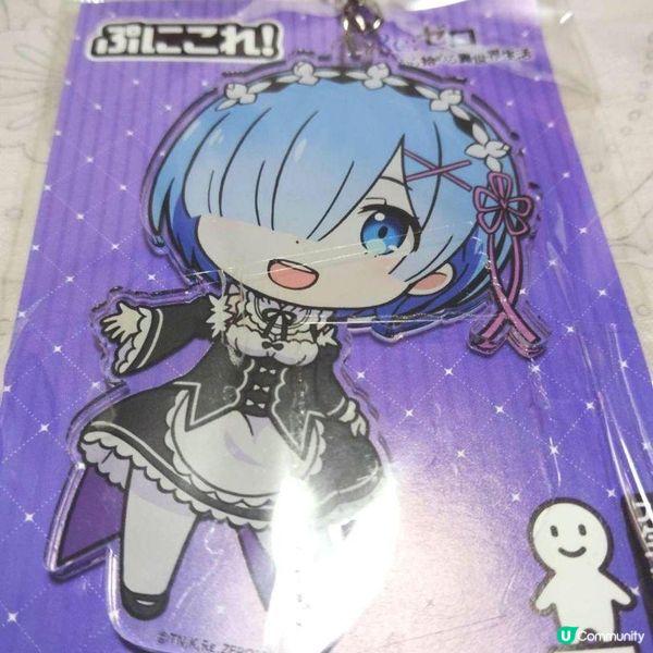 繼續我的funbid開箱(4月) - 雷姆rem立牌