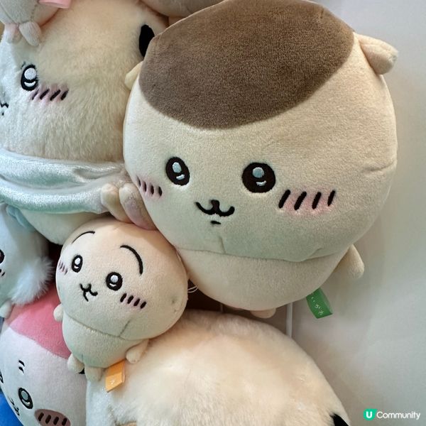 人氣公仔 Chiikawa