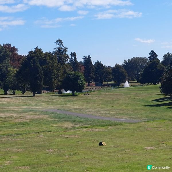 Pukekohe golf club⛳️