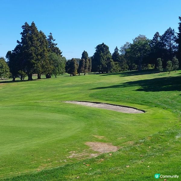Pukekohe golf club⛳️