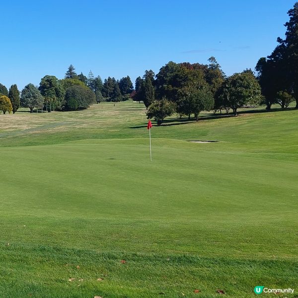Pukekohe golf club⛳️