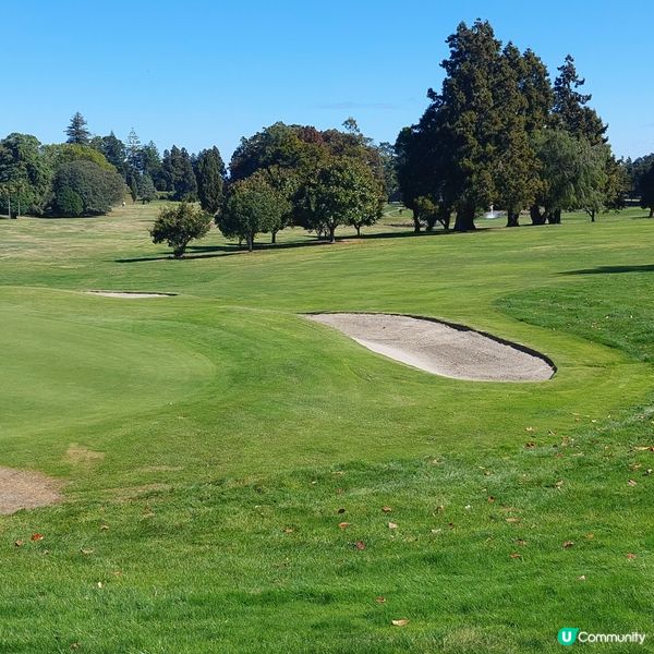 Pukekohe golf club⛳️
