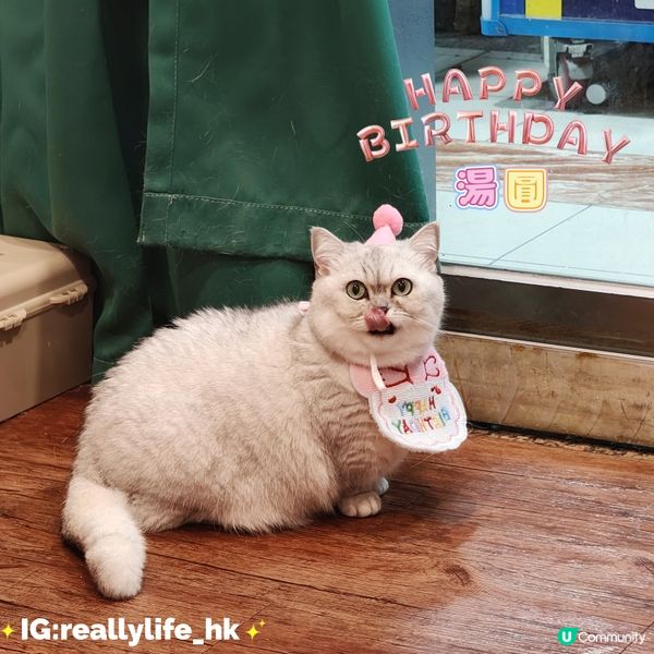 祝湯圓生日快樂😻😻