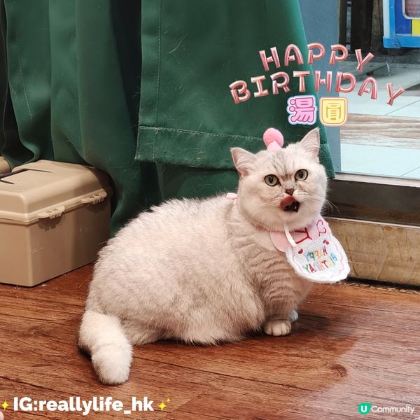 祝湯圓生日快樂😻😻