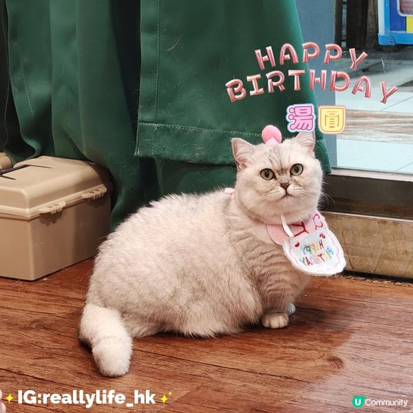 祝湯圓生日快樂😻😻