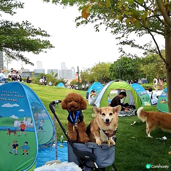 💪🏻 行完2.5公里，獎牌靚到轉轉轉！🤩