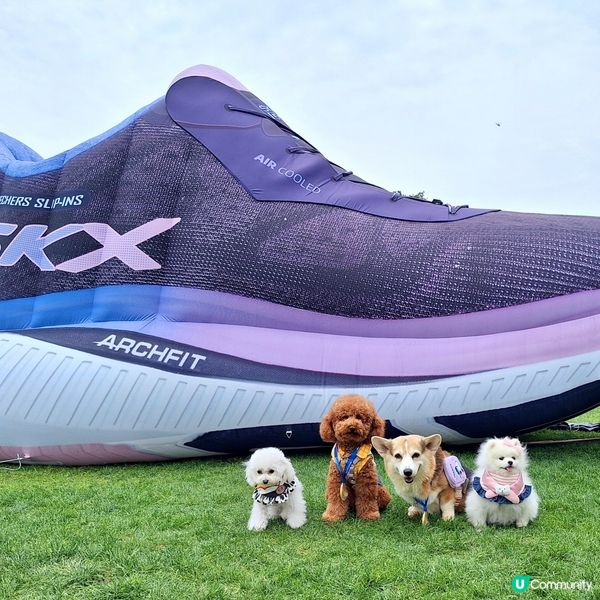 💪🏻 行完2.5公里，獎牌靚到轉轉轉！🤩