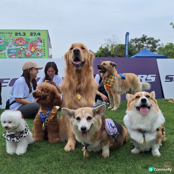 💪🏻 行完2.5公里，獎牌靚到轉轉轉！🤩