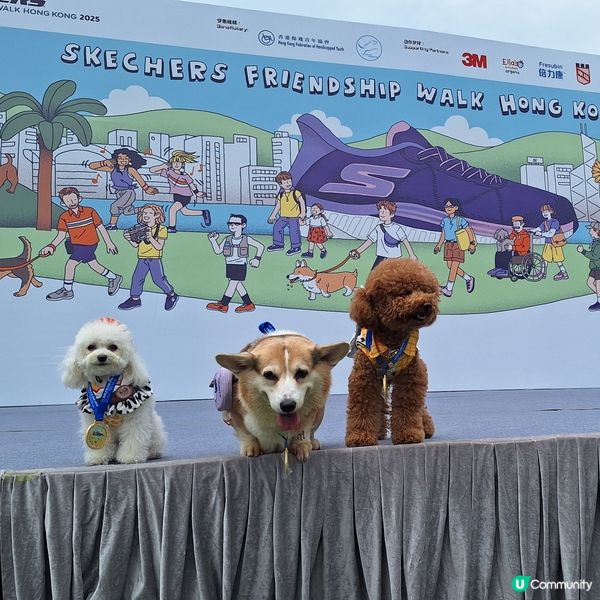 💪🏻 行完2.5公里，獎牌靚到轉轉轉！🤩