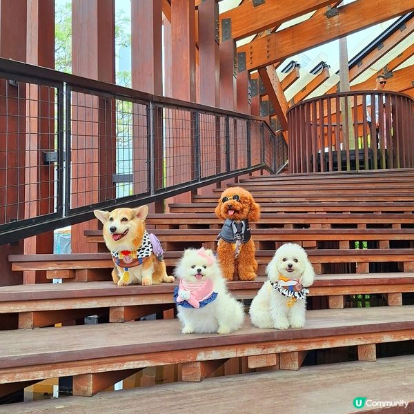 💪🏻 行完2.5公里，獎牌靚到轉轉轉！🤩