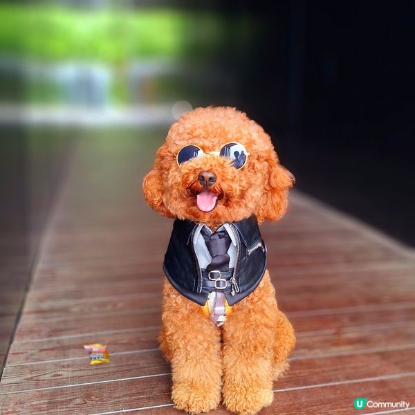 💪🏻 行完2.5公里，獎牌靚到轉轉轉！🤩