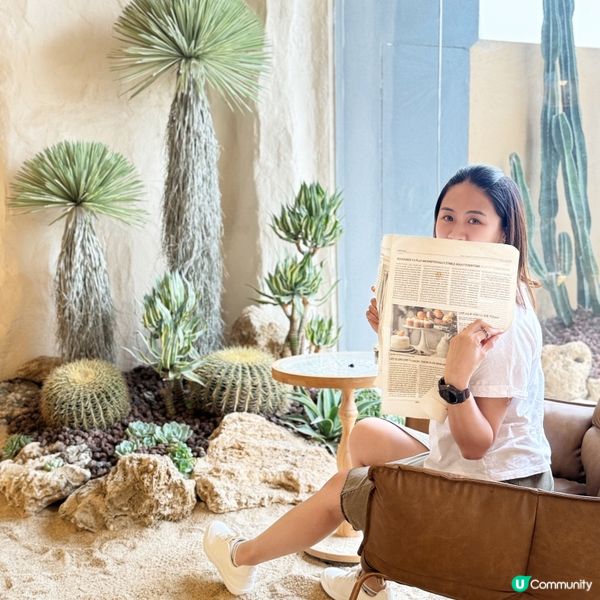 深圳竟然有沙漠