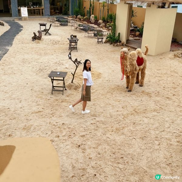 深圳竟然有沙漠