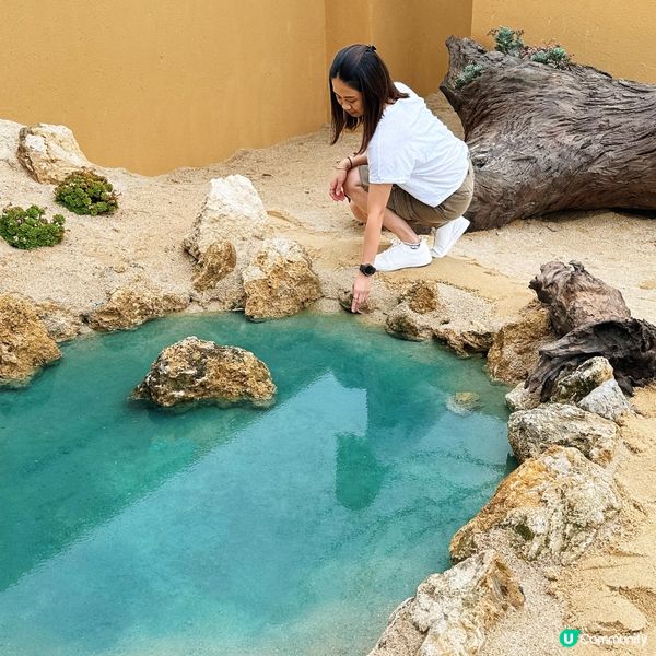 深圳竟然有沙漠