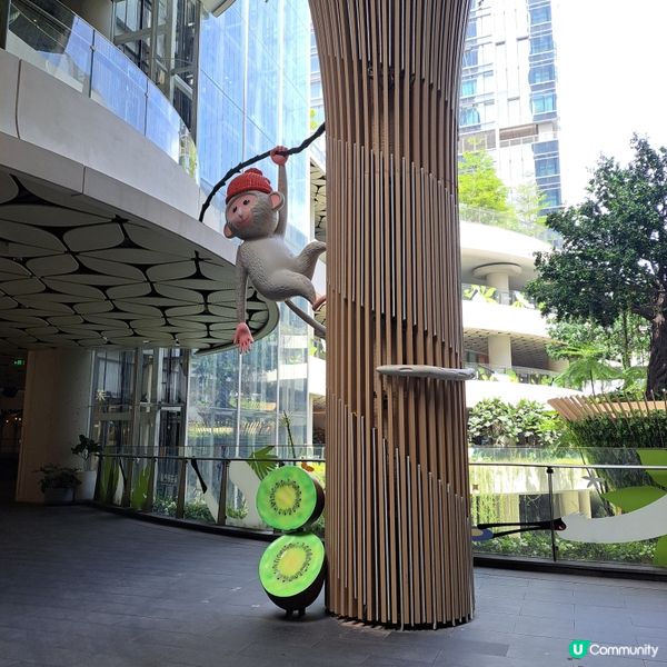 深圳食評｜桂滿隴叫花雞🐔 烏雞湯🍲