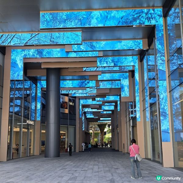 深圳食評｜桂滿隴叫花雞🐔 烏雞湯🍲