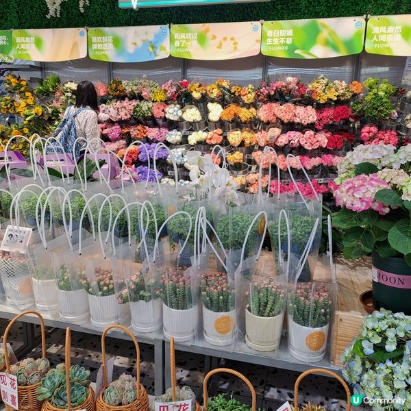 深圳食評｜桂滿隴叫花雞🐔 烏雞湯🍲