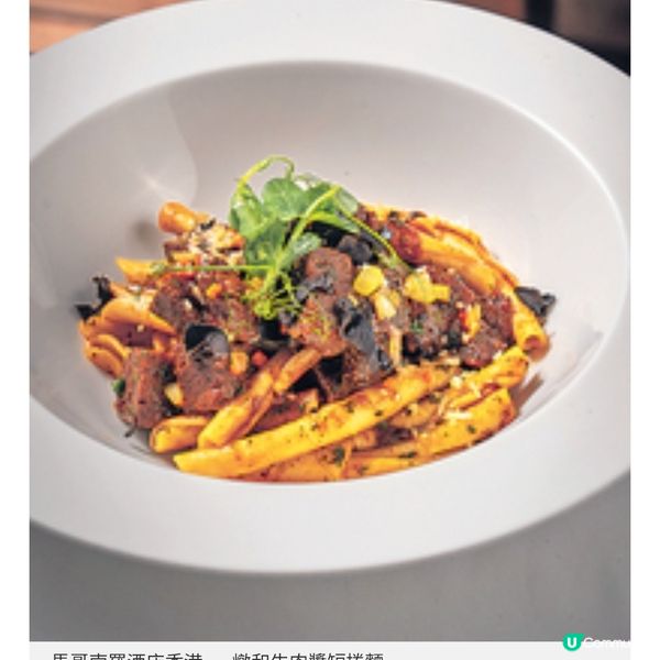 「全港廚師精英大匯演」載譽歸來 星級名廚饗宴為受助兒童出力