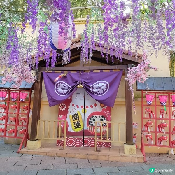 🌸台中必去九族文化村🔥超夢幻紫戀薰衣草打卡一流💜