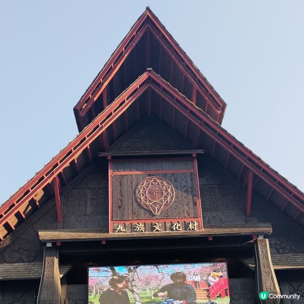 🌸台中必去九族文化村🔥超夢幻紫戀薰衣草打卡一流💜