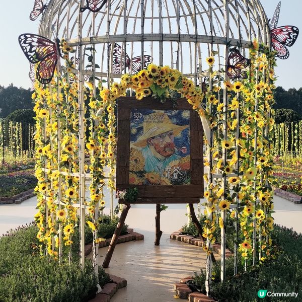 🌸台中必去九族文化村🔥超夢幻紫戀薰衣草打卡一流💜