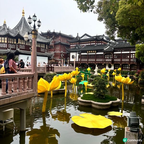 上海5日4夜懶人包
