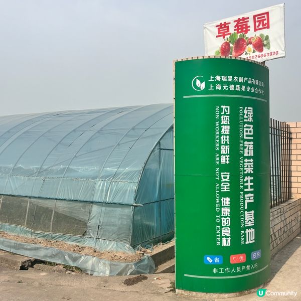 上海5日4夜懶人包