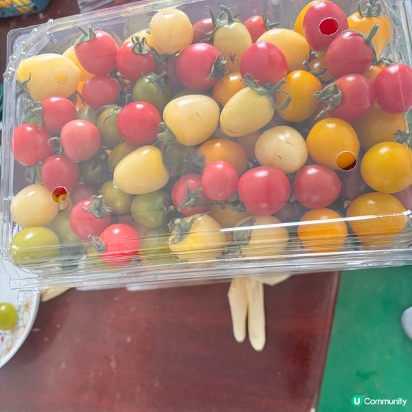 上海5日4夜懶人包