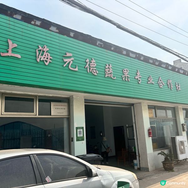 上海5日4夜懶人包