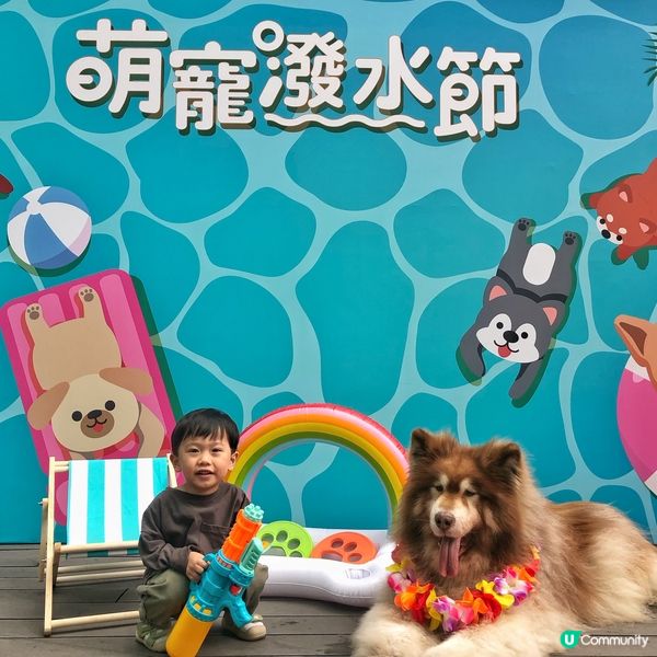 沙田萌寵潑水節
