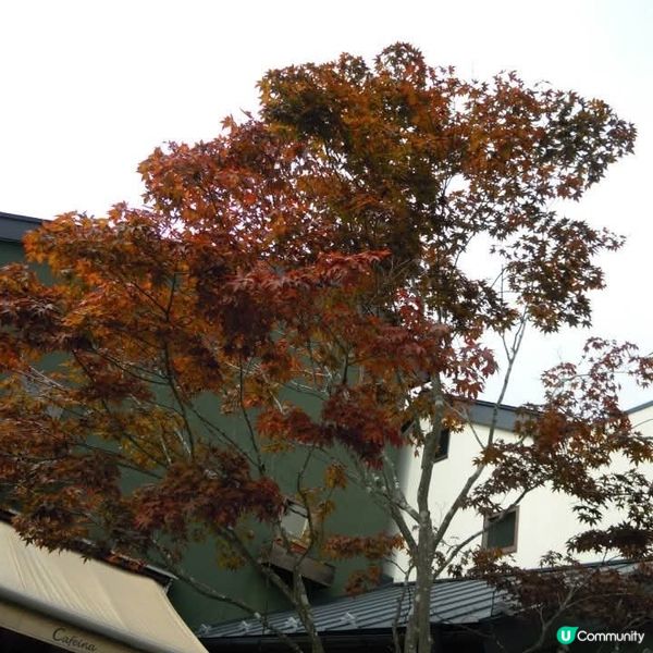 輕鬆度假勝地@輕井澤