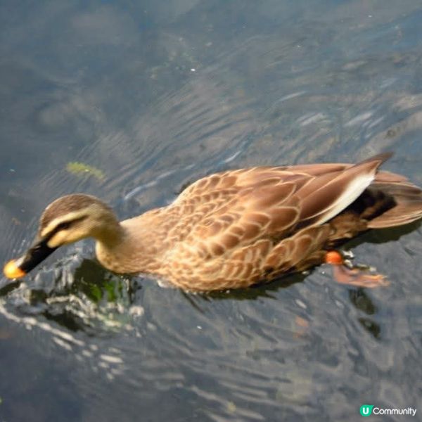 輕鬆度假勝地@輕井澤