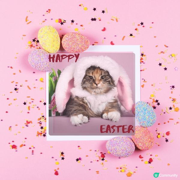 又就快到復活節,預祝同大家講聲復活節快樂🐇🥚