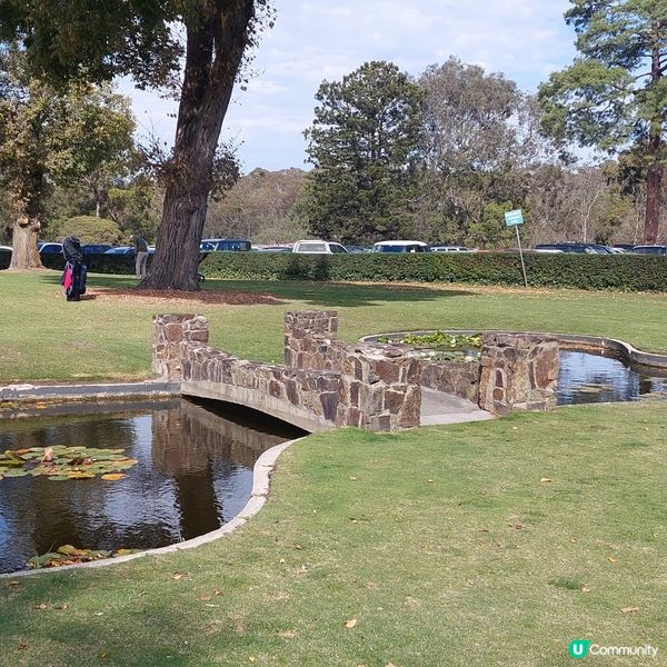 墨爾本高爾夫公眾場⛳️推介👍